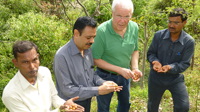 Rudolf Bund and three men checking soap nuts at the cooperative in India
